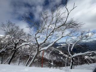 圖片_20260210114715_9_1