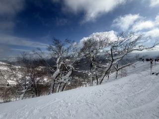 圖片_20260210114718_13_1